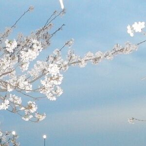 Meet your Posher, Es